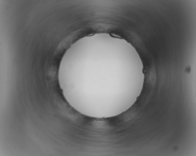X0000112540283200909071429