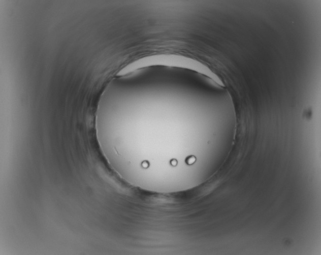 X0000112540284200909071429