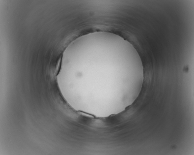 X0000112540285200909071429