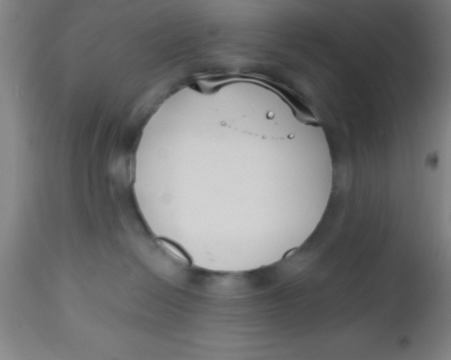 X0000112540286200909071429