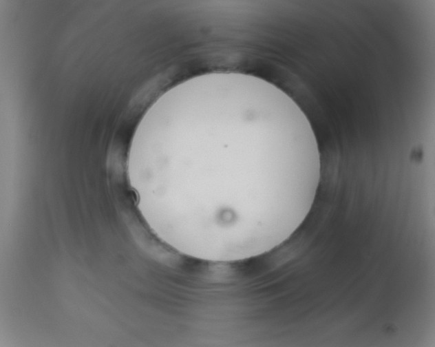 X0000112540287200909071429