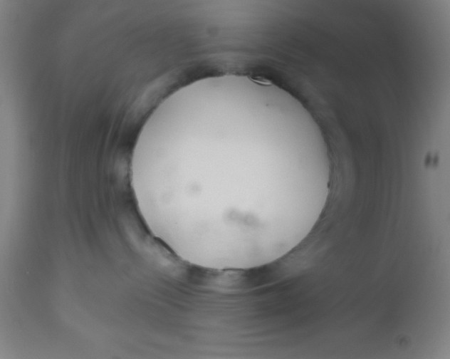 X0000112540288200909071429