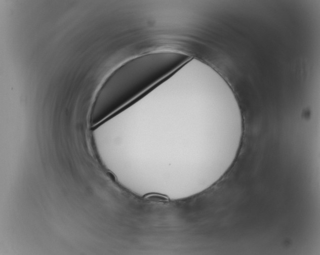 X0000112540289200909071428