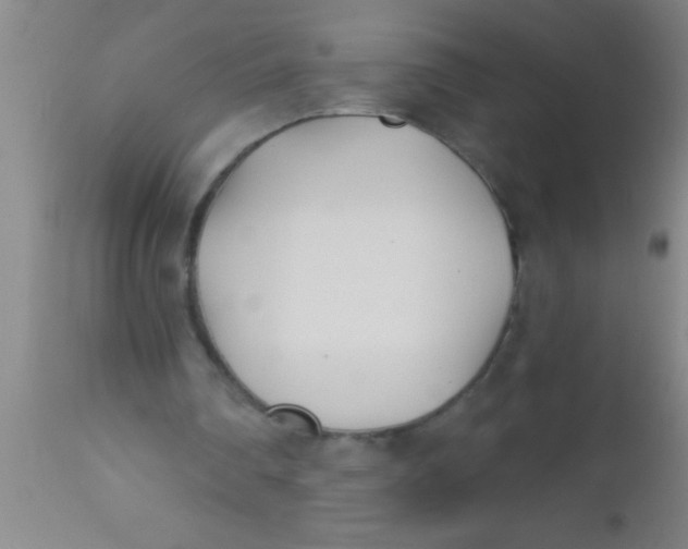 X0000112540290200909071428