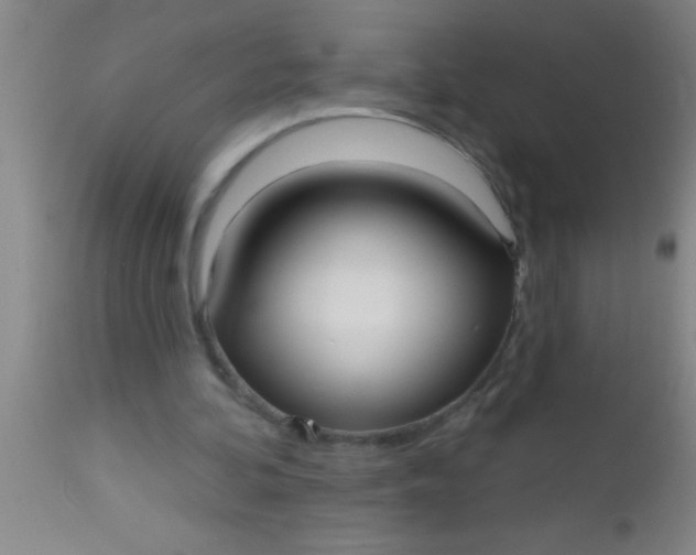 X0000112540292200909071428