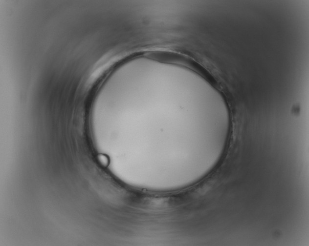 X0000112540295200909071428