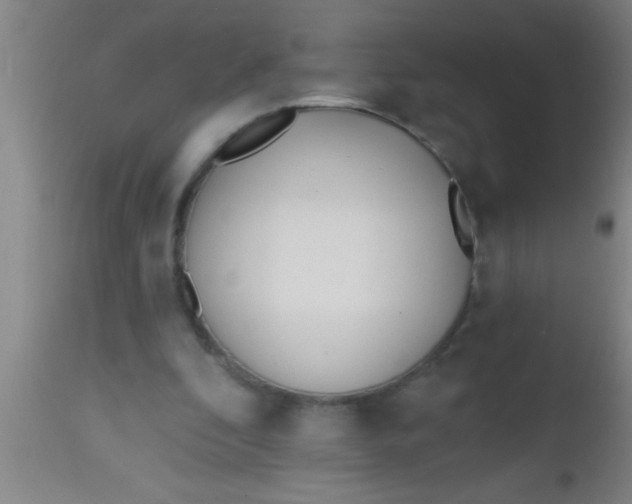 X0000112540296200909071428