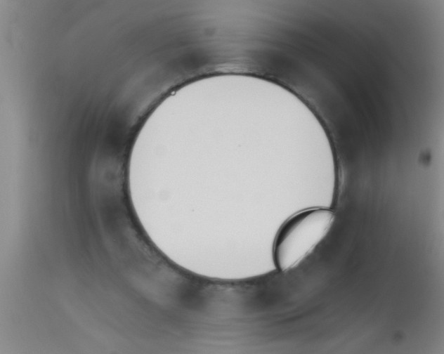 X0000112540297200909071428