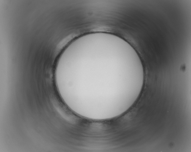X0000112540298200909071428