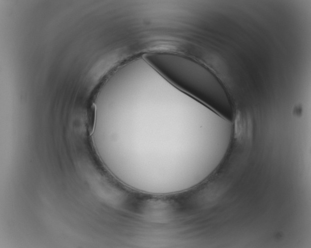 X0000112540300200909071428