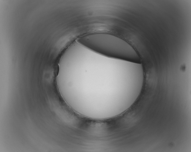 X0000112540304200909071428
