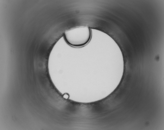 X0000112540305200909071428