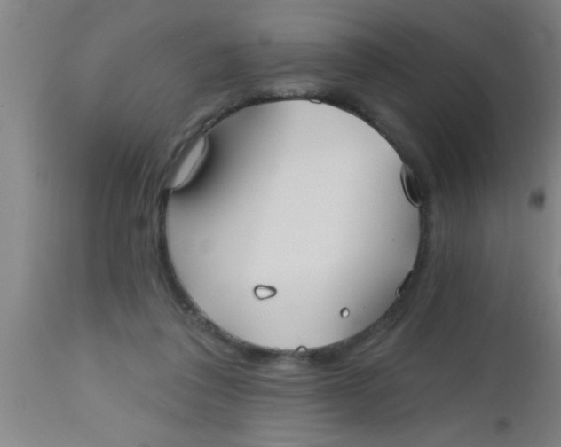 X0000112540308200909071428