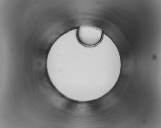 X0000112540309200909071428
