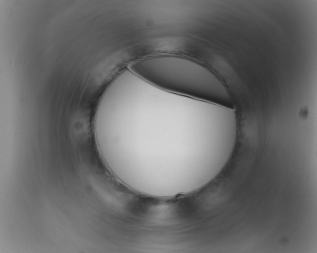 X0000112540312200909071428