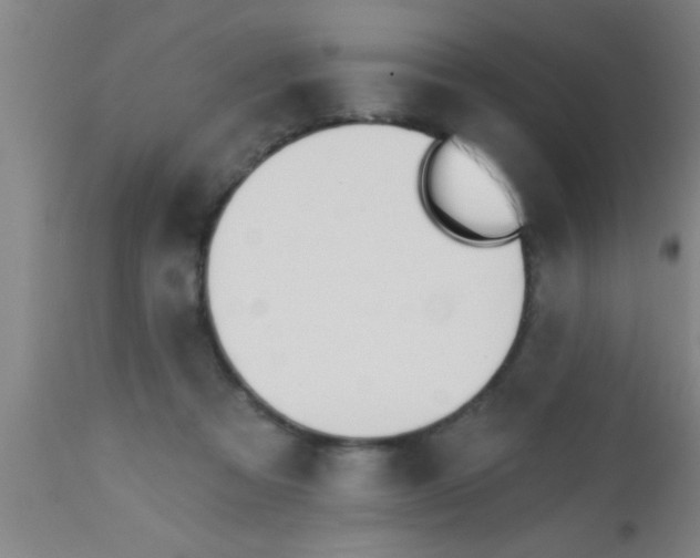 X0000112540313200909071428