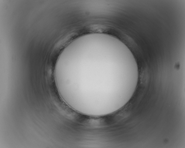 X0000112540314200909071428