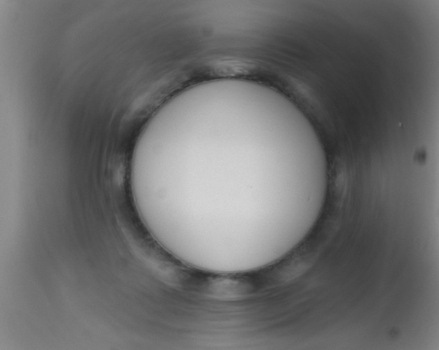 X0000112540315200909071428