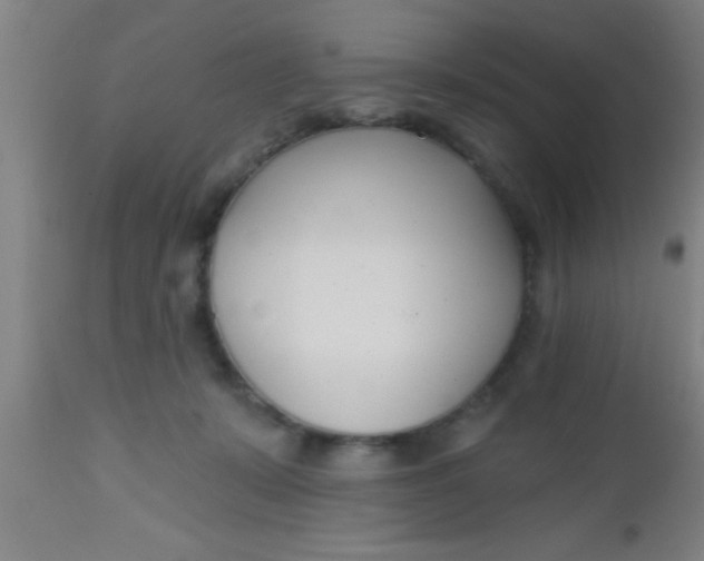 X0000112540319200909071427