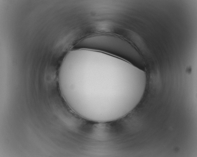 X0000112540320200909071427