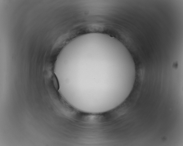 X0000112540323200909071427