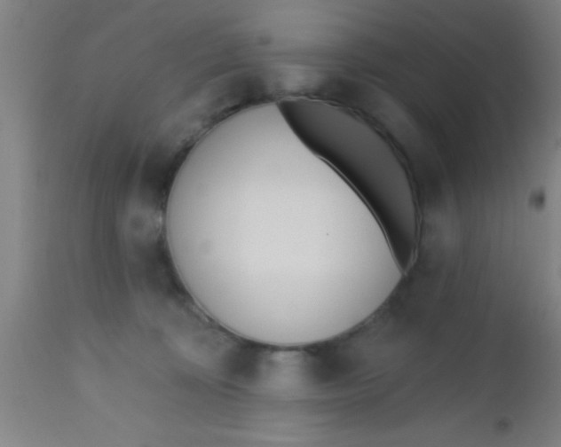 X0000112540324200909071427