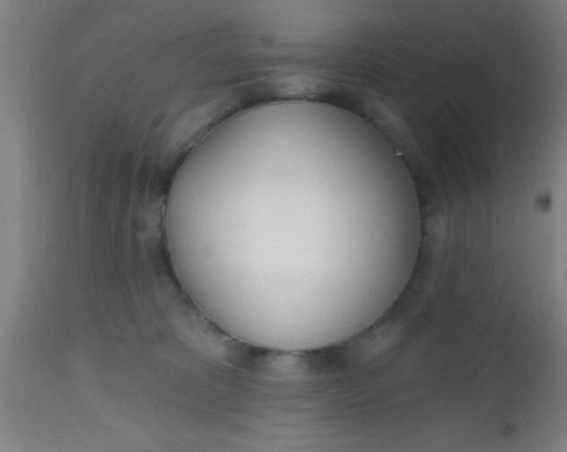 X0000112540325200909071427