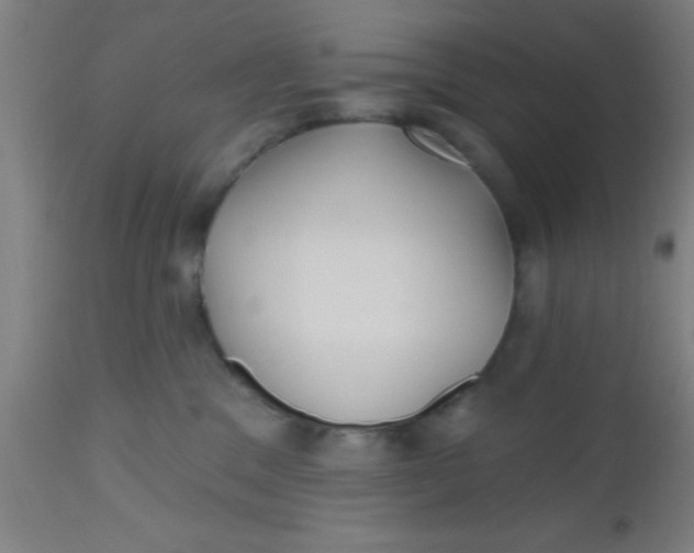 X0000112540329200909071427