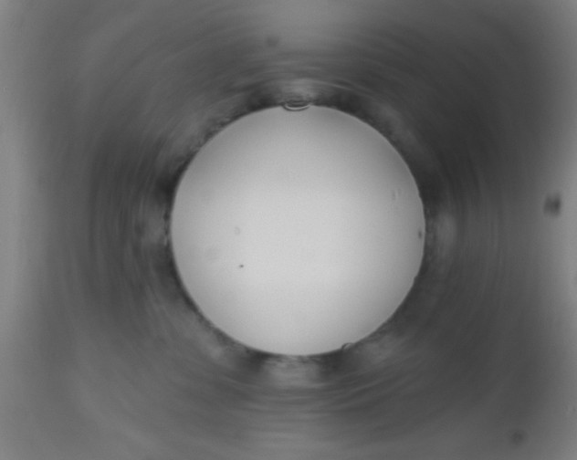 X0000112540331200909071427