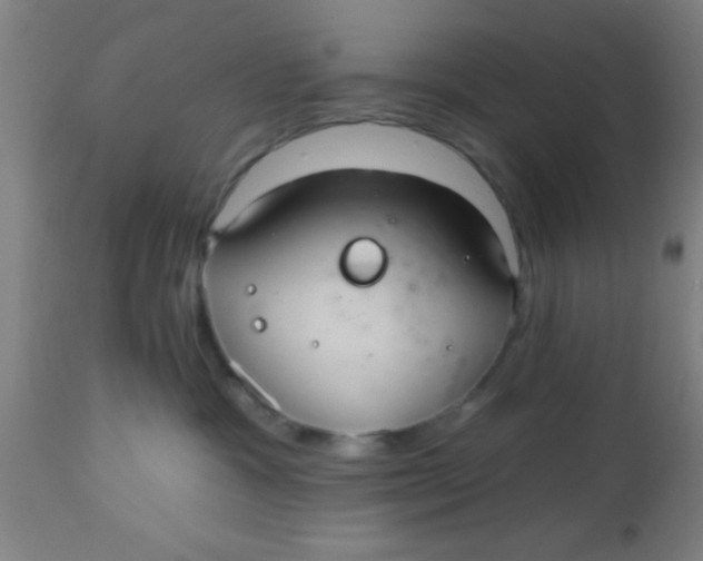 X0000112540333200909071427
