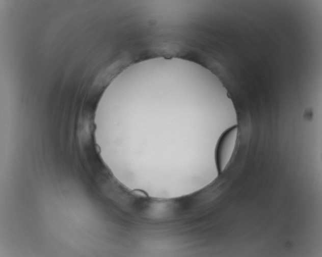 X0000112540334200909071427