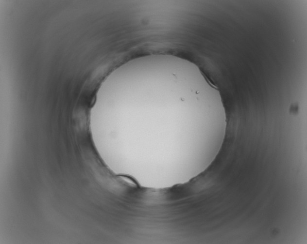 X0000112540335200909071427