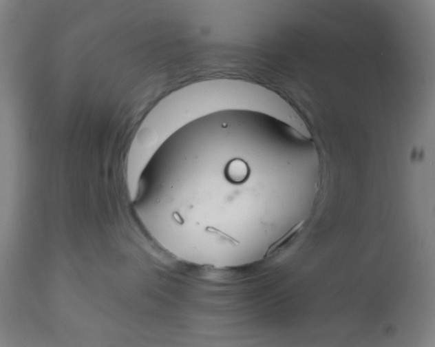 X0000112540336200909071427