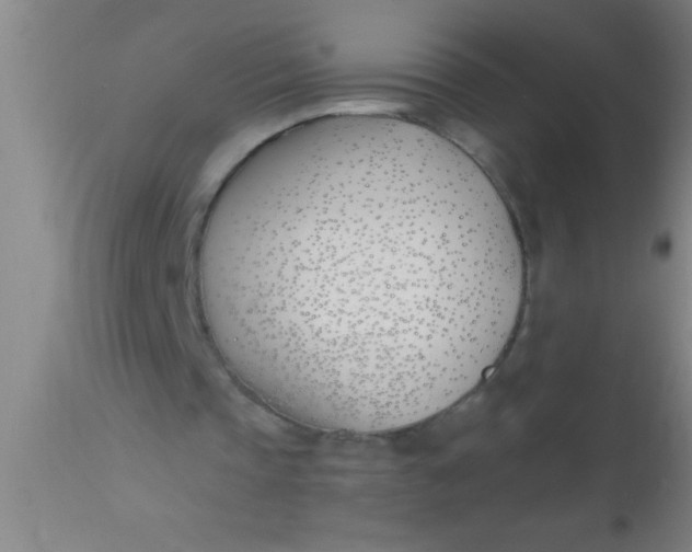 X0000112540337200909071426