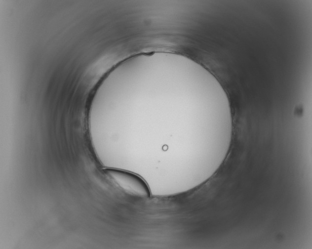 X0000112540338200909071427