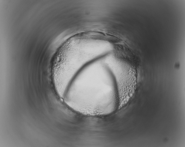 X0000112540339200909071427