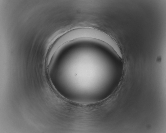 X0000112540340200909071427