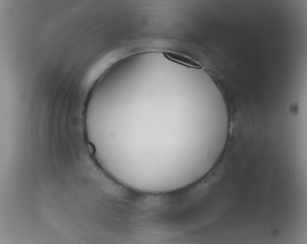 X0000112540341200909071427