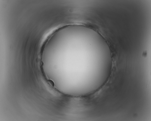 X0000112540342200909071427