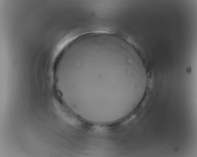 X0000112540343200909071427