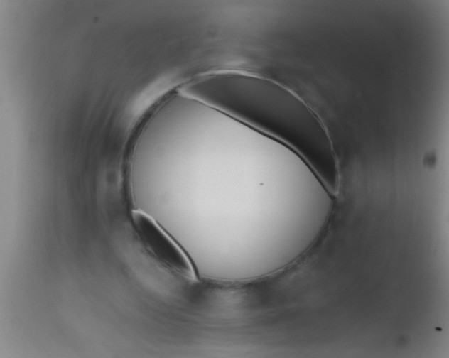 X0000112540344200909071427