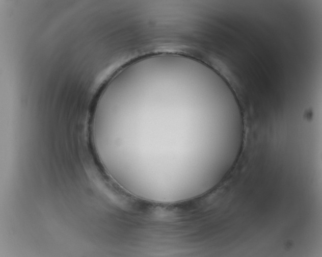 X0000112540346200909071427