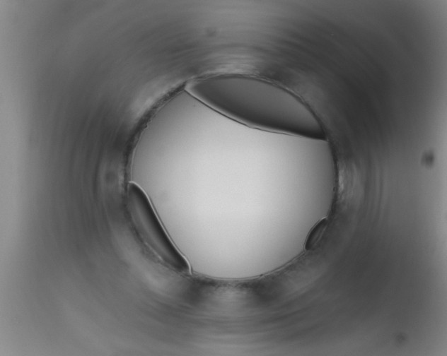 X0000112540348200909071427