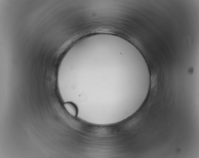 X0000112540349200909071427