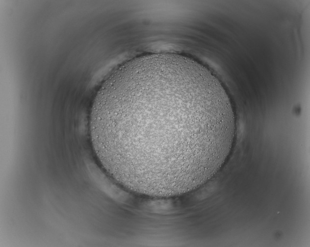 X0000112540353200909071427