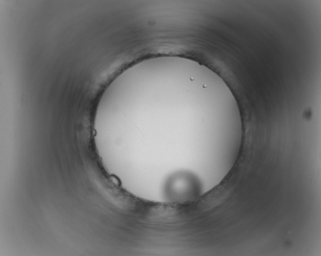 X0000112540354200909071427