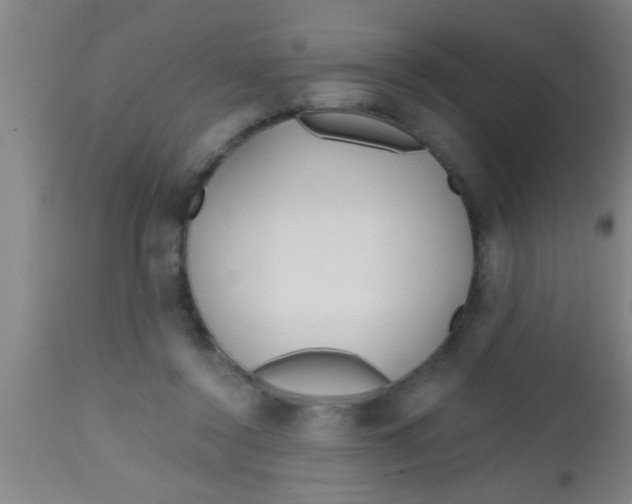 X0000112540356200909071427