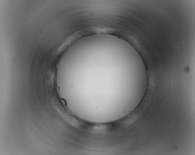 X0000112540357200909071427