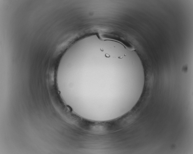 X0000112540358200909071427