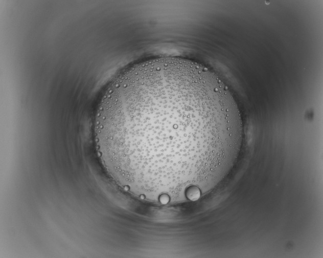 X0000112540359200909071427